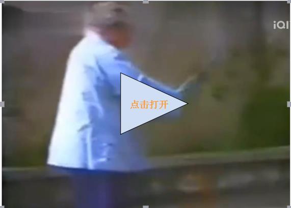 柔武 杨式太极剑