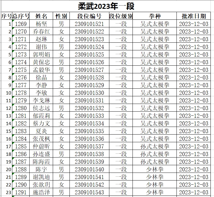 柔武中国武术段位